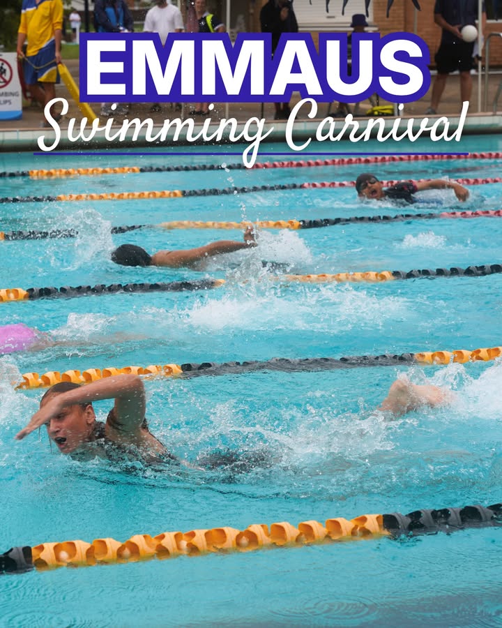 538584381605320_1562631632533918-1